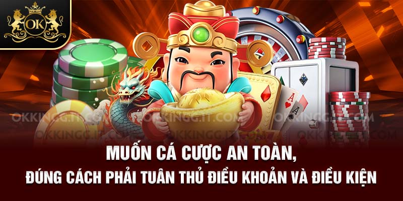 Muốn cá cược an toàn, đúng cách phải tuân thủ điều khoản và điều kiện