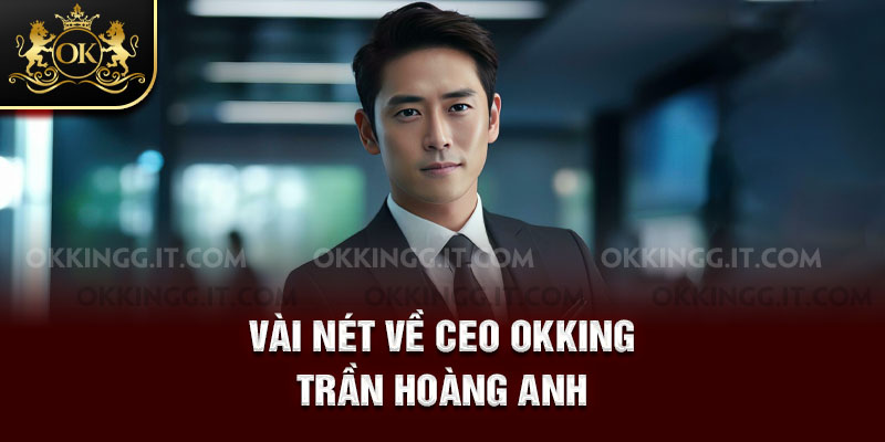 Vài nét về CEO Okking Trần Hoàng Anh
